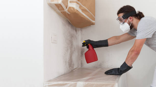 Professional Crawl Space Mold Removal technician working in Newfoundland, NJ
