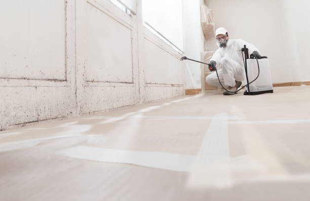 24/7 Emergency Crawl Space Mold Removal experts in Newfoundland, NJ